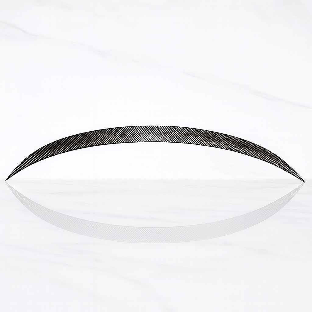 AeroShine - Bakluckespoiler | Glossy Svart & Kolfiberlook Universal Spoiler för Sportigare Bilprofil